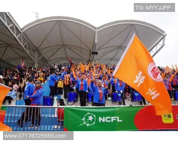 武汉校园足球明星联赛点燃青春激情助力校园体育发展新篇章